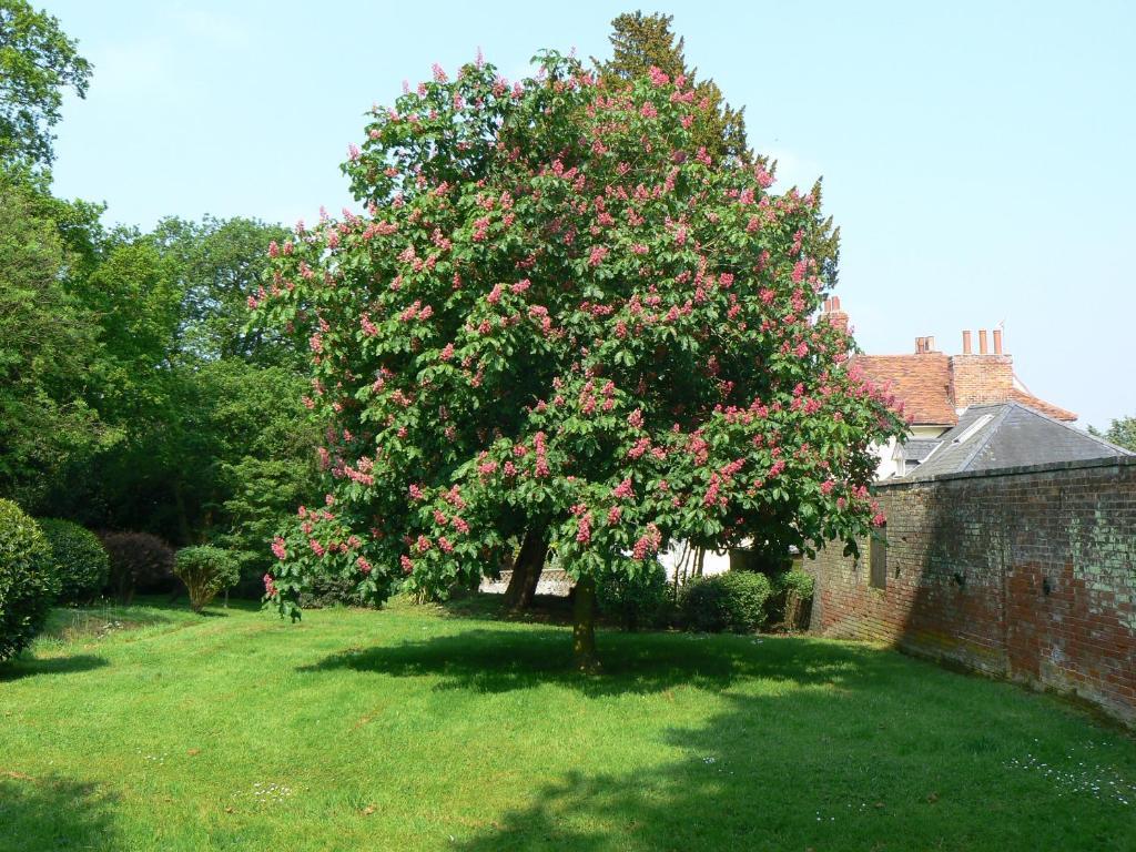 Holbecks House B&B Ipswich Esterno foto